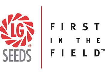 Lg Seeds Logo